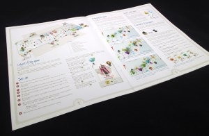 Tokaido Rules booklet