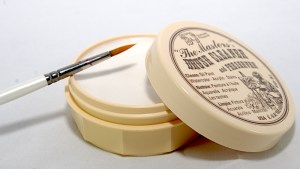 Brush cleaner and preserver